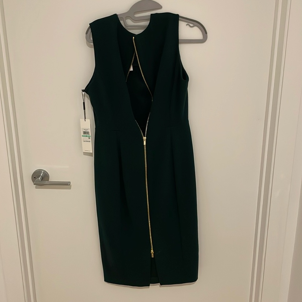 Colvin Klein Green Dress with gold zipper